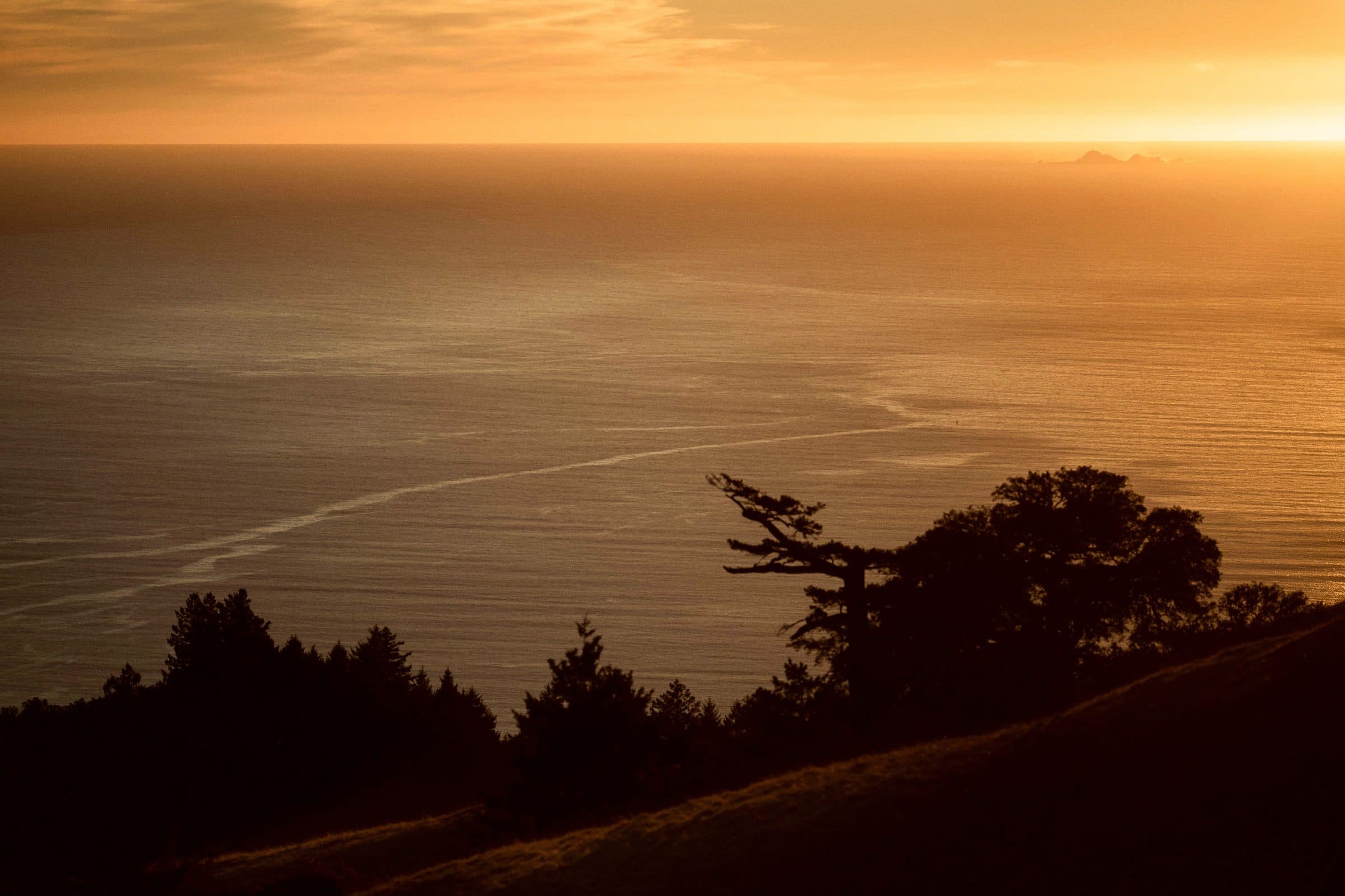 Golden sunset over the ocean with silhouetted trees on a ridge, fine art photograph by Jason Bowman