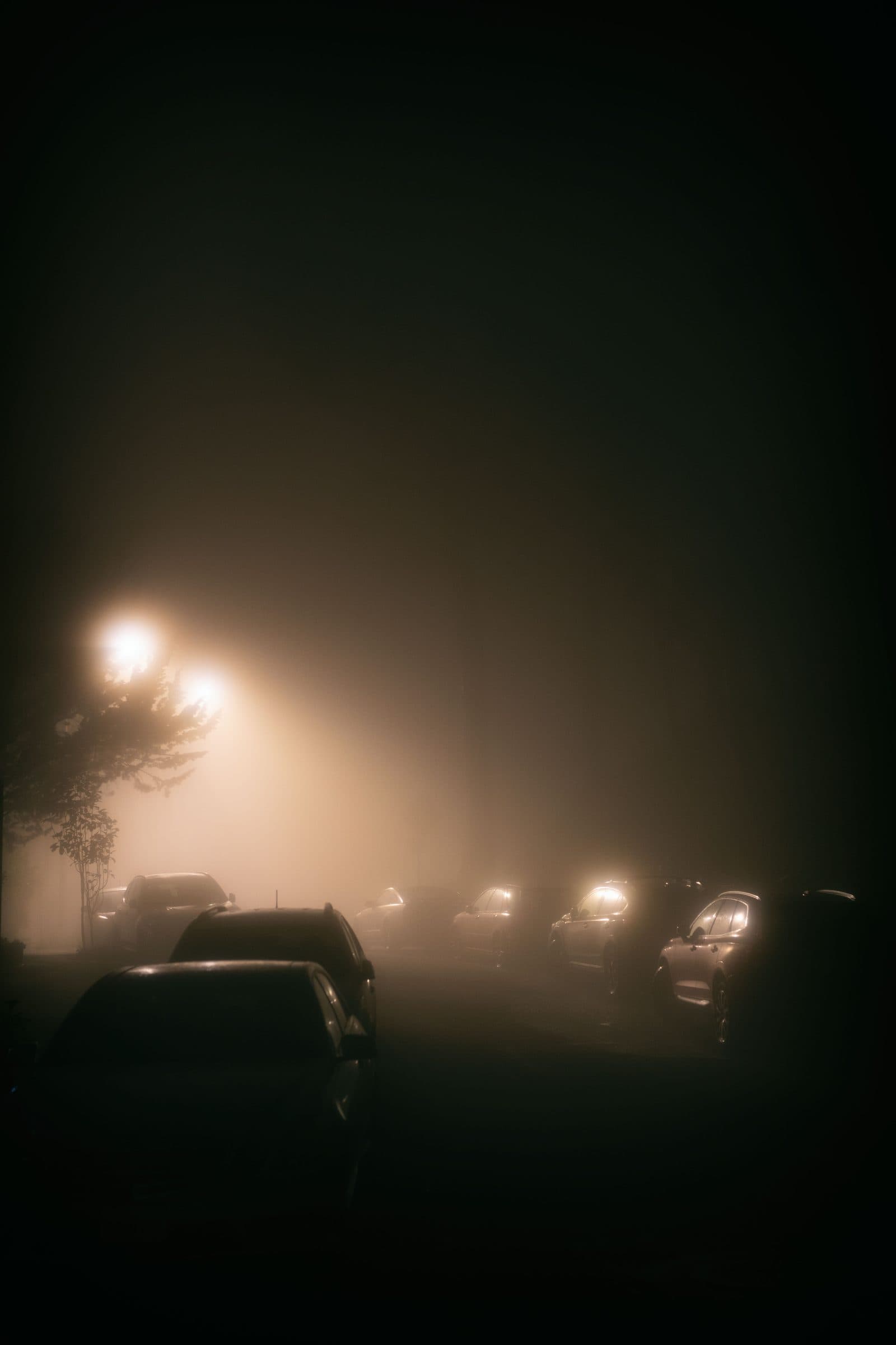 Parked cars under a streetlight on a foggy night, fine art photograph by Jason Bowman